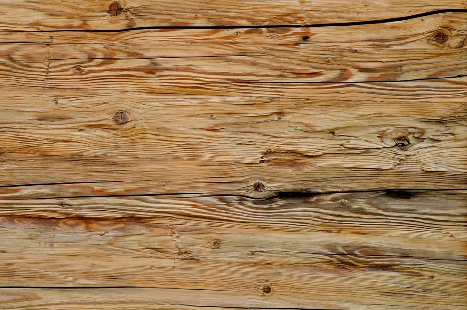 Texture Wood Grain Grain Wood