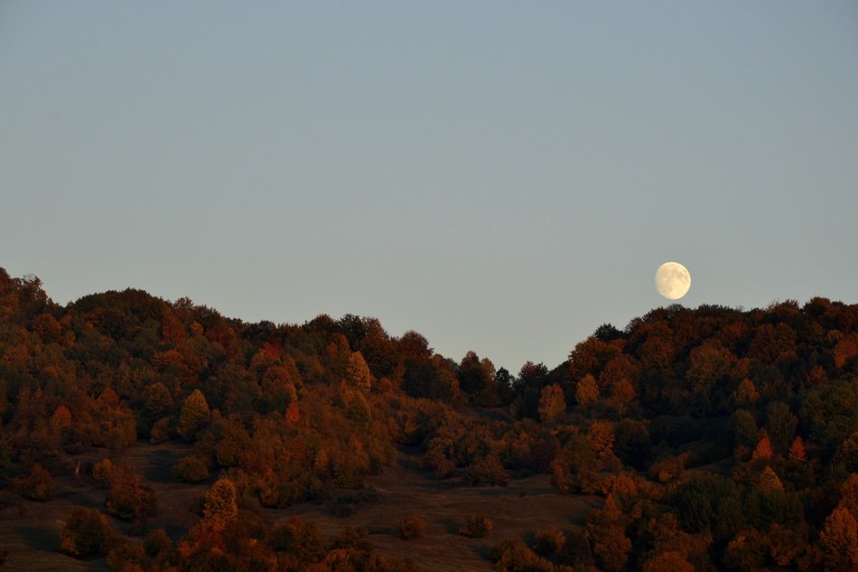 Autumn Moon Hills Halloween