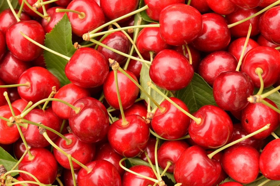 Cherries Background Fruit Red