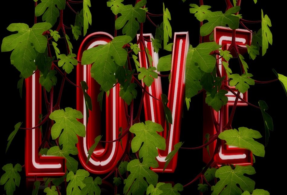 Love Font Ivy Plant Background