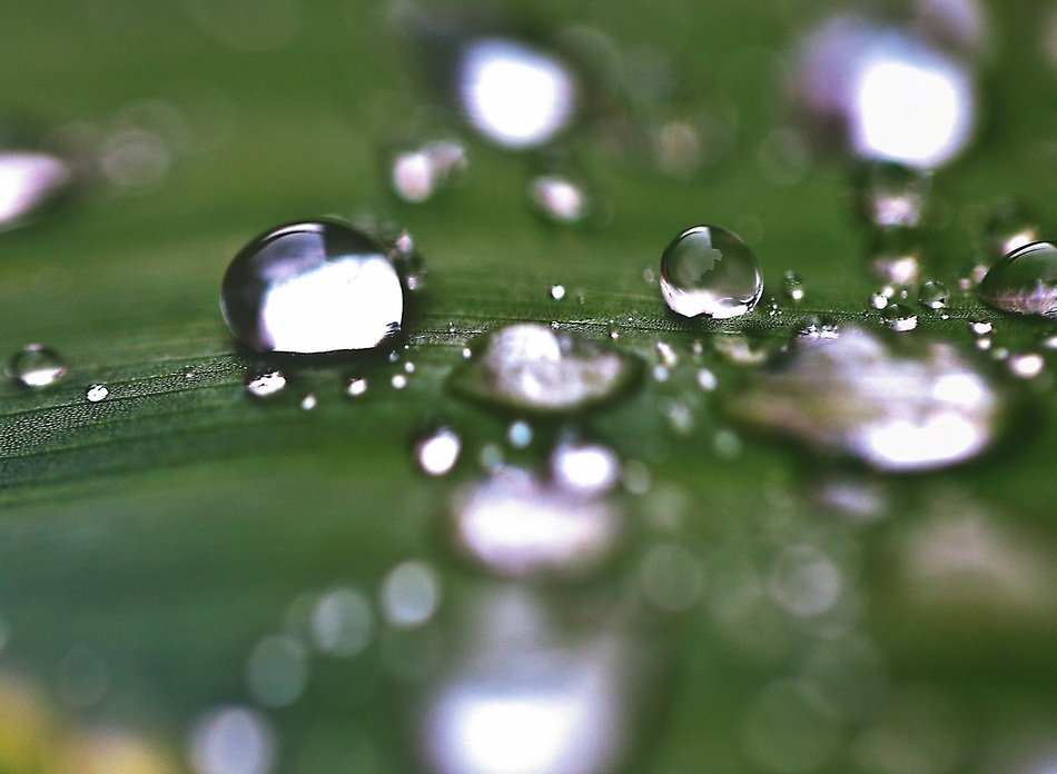 Water Drops Drops Of Water