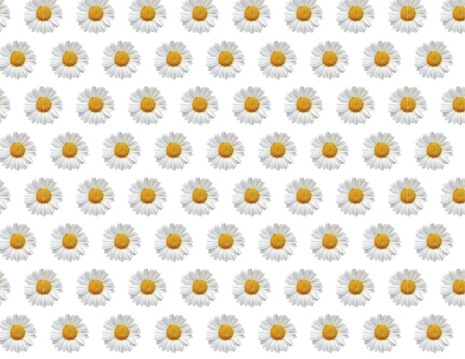 Marguerite Reasons Pattern