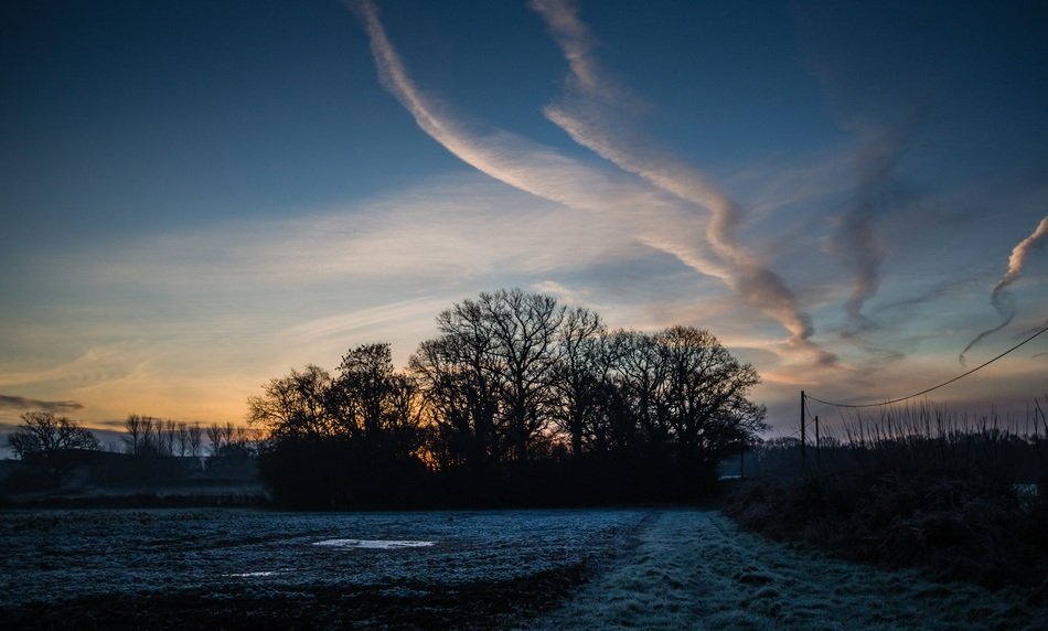 Sillhouette Trees Clouds
