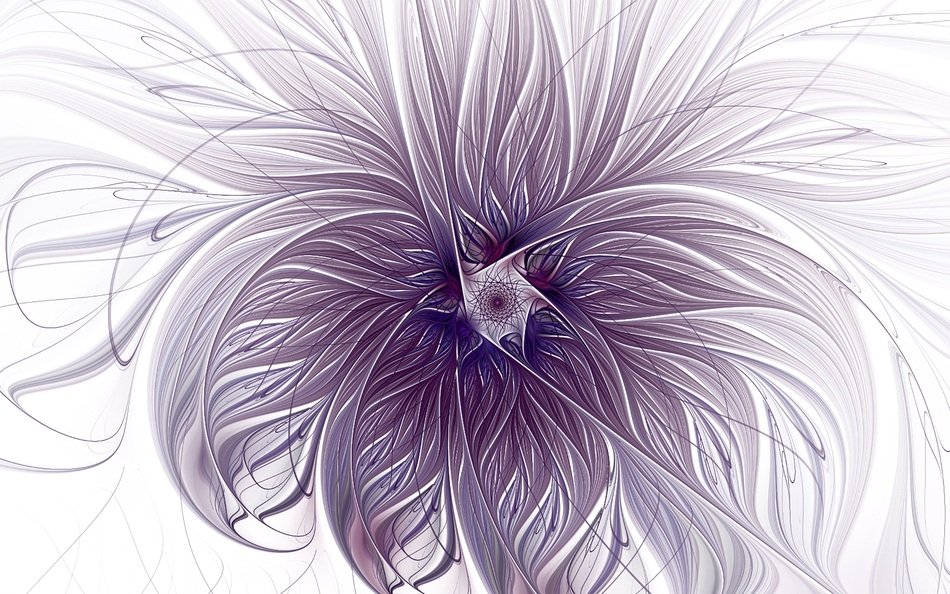 Purple Lavender Wisps White