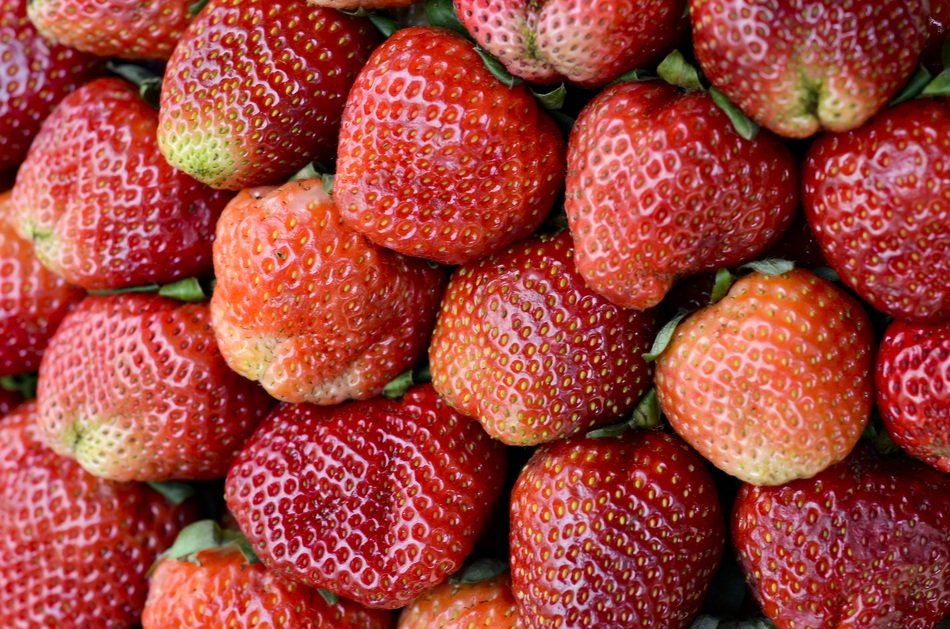 background with red strawberries