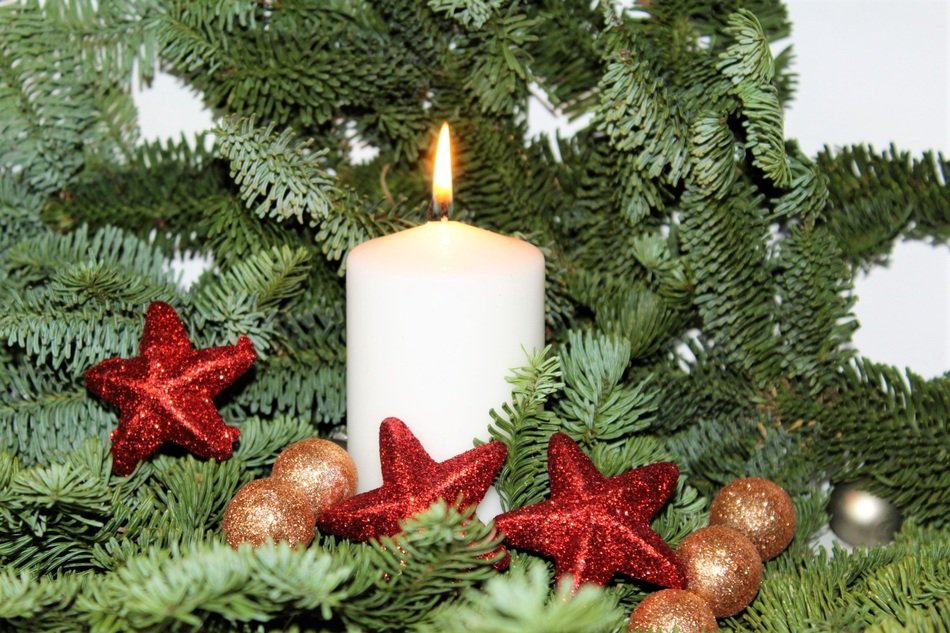 Advent Poinsettia Christmas
