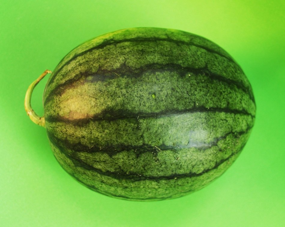 sweet watermelon on the green background