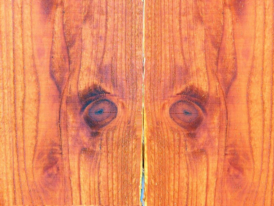 Wood Background Wood Background