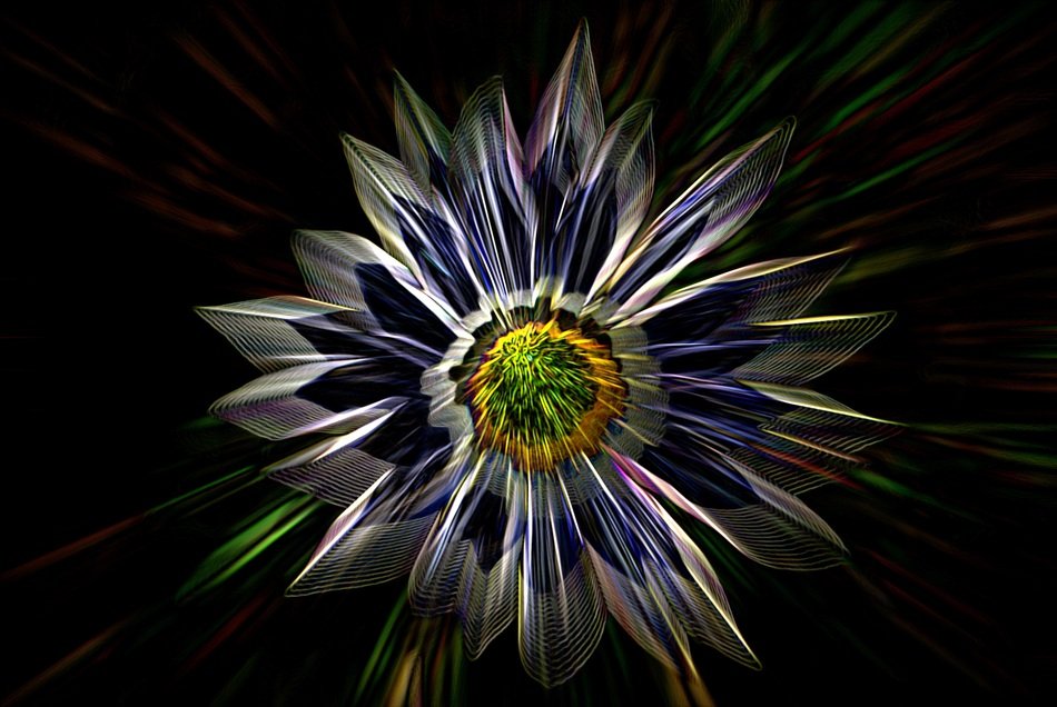 Flower Structure Photo Montage