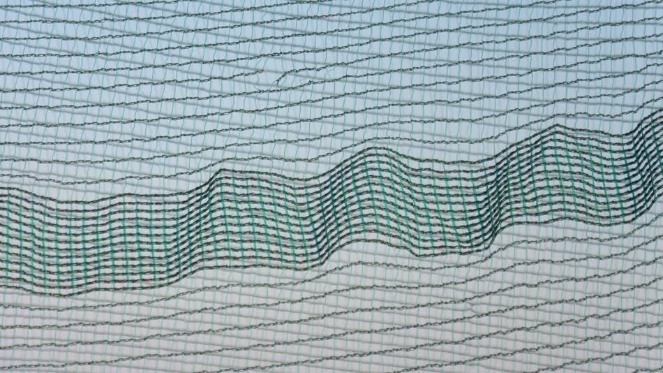 Network Threads Tissue Filigree