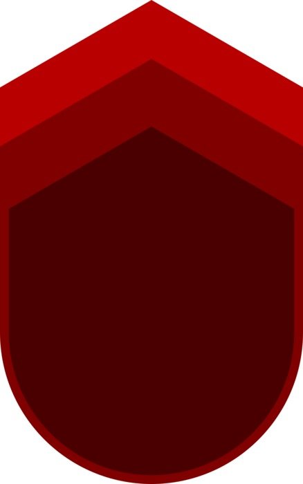 Badge Graphic Military Emblem
