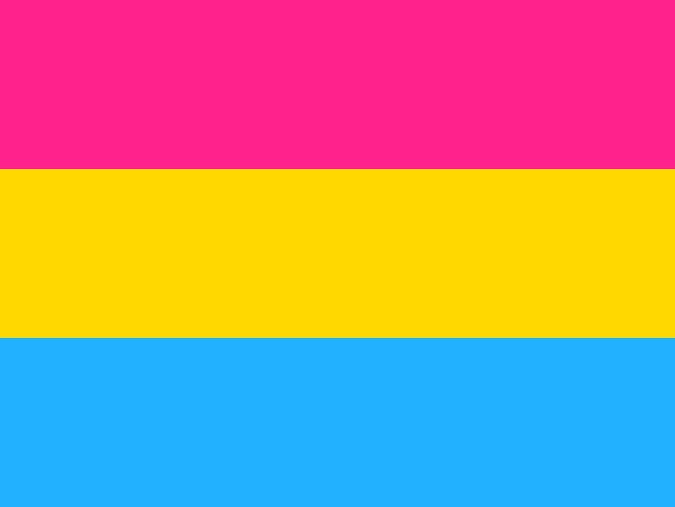 Flag Pansexuality Pansexual