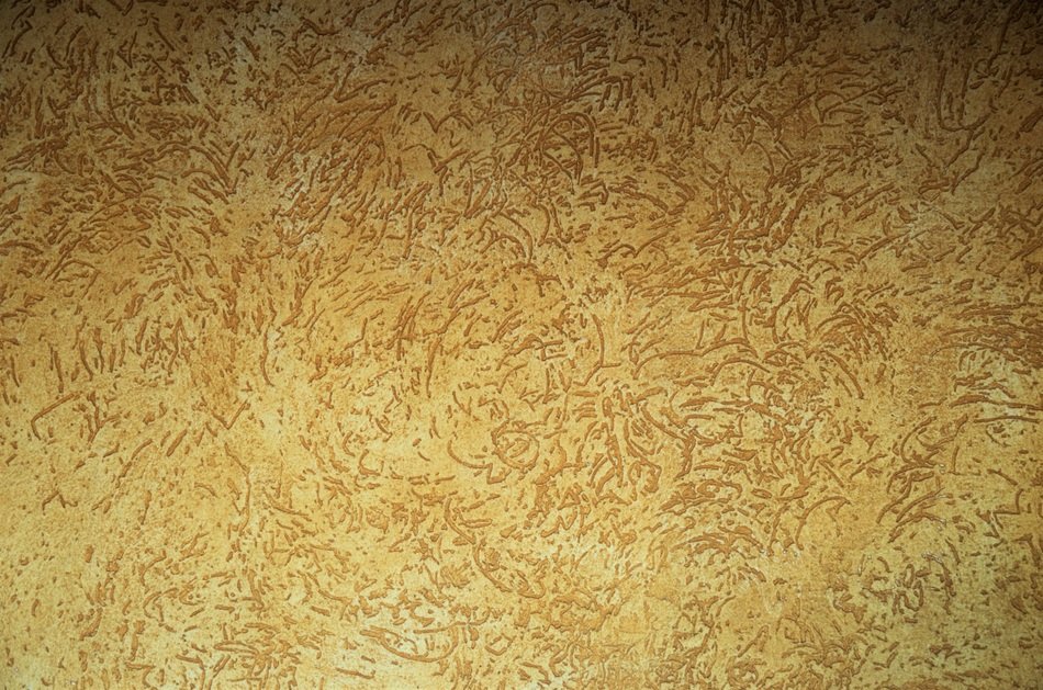 Texture Wall Background Garnish