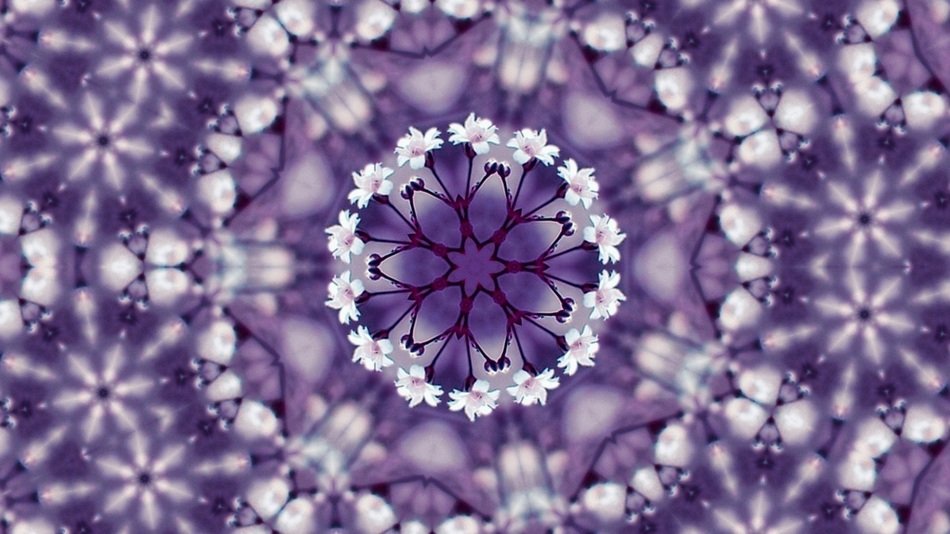 Flowers Kaleidoscope Violet