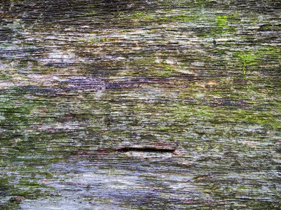 Wood Old Texture Old Wood
