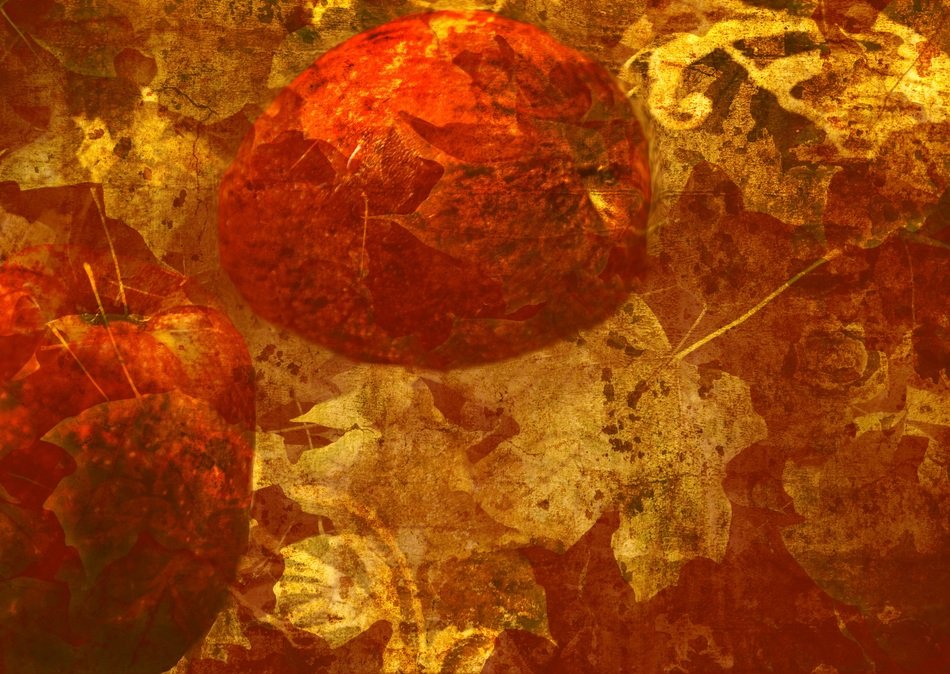 Apples Leaves Textured Summer