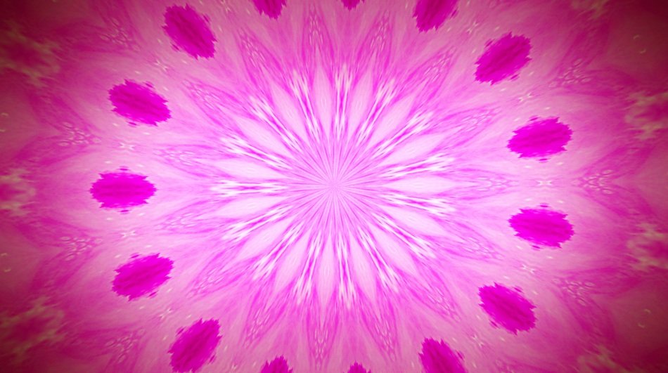 pink background with floral artwork