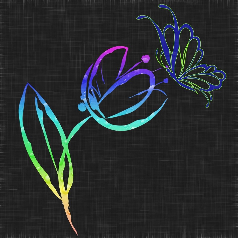 Tulip Flower Butterfly Abstract