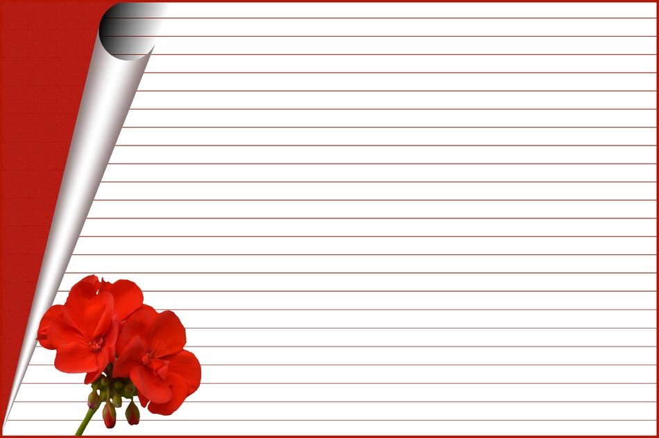 Stationery Greeting Card Leave free image download