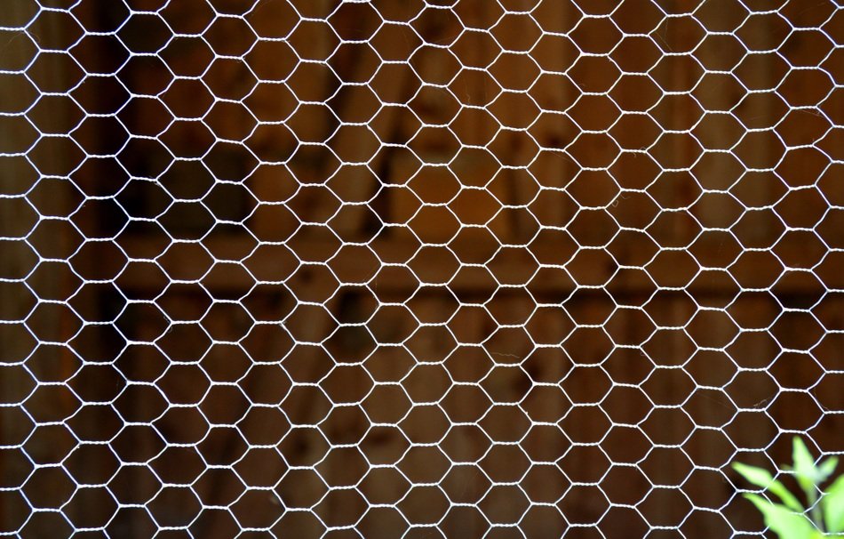 Texture Wire Stall Rabbit Hutch