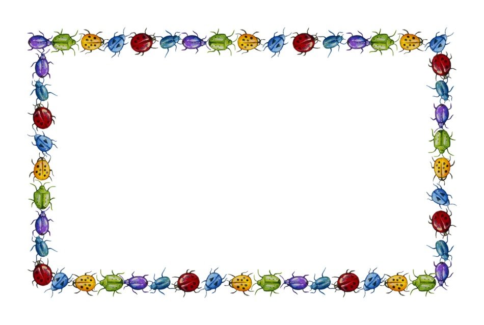 Sun Beetle Kids Colorful Fun