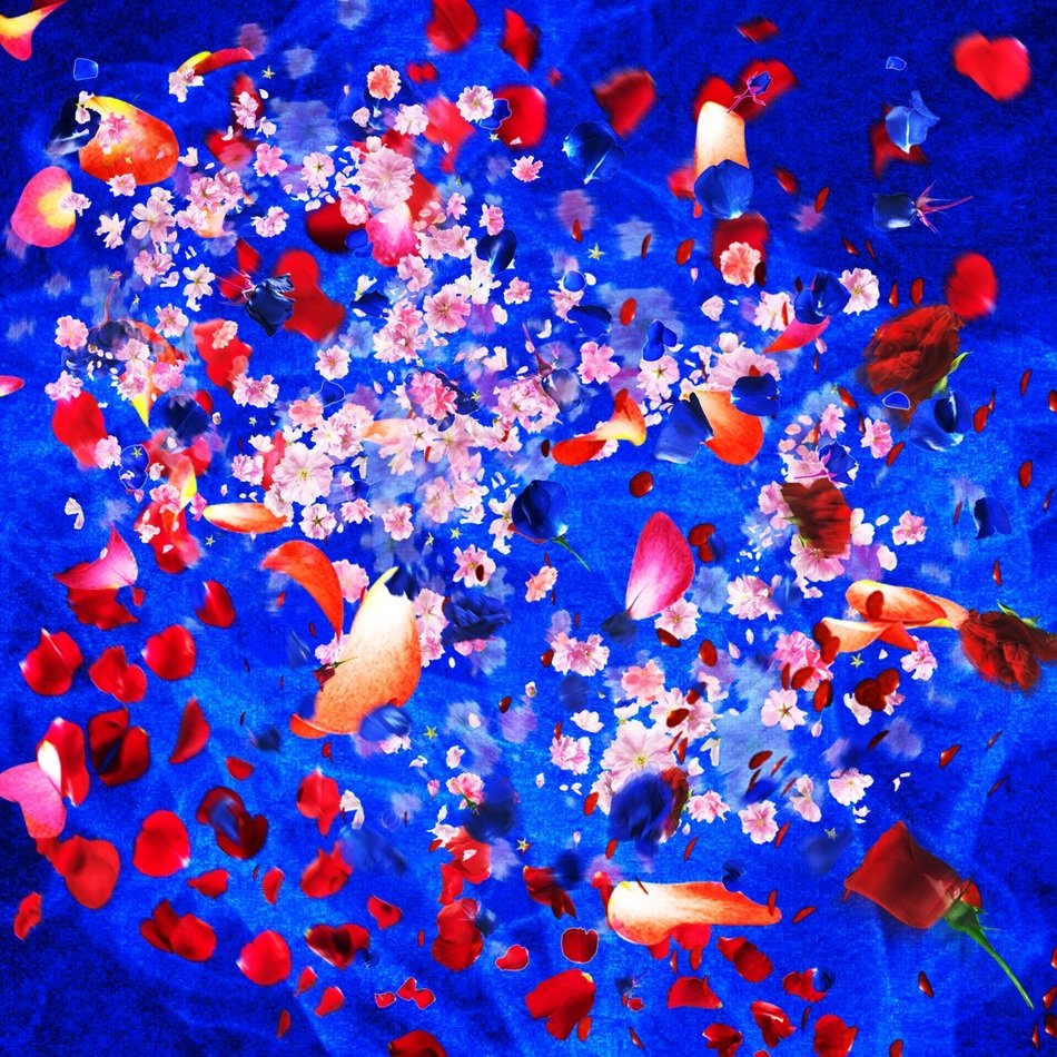 Background Flower Cluster Flowers