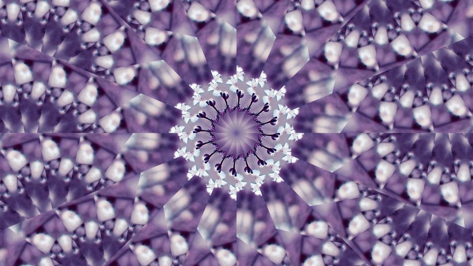 background with purple flower ornament