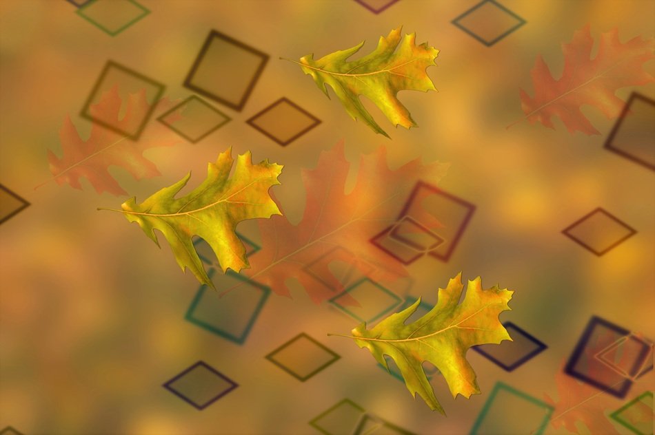 Background Autumn Golden Autumn
