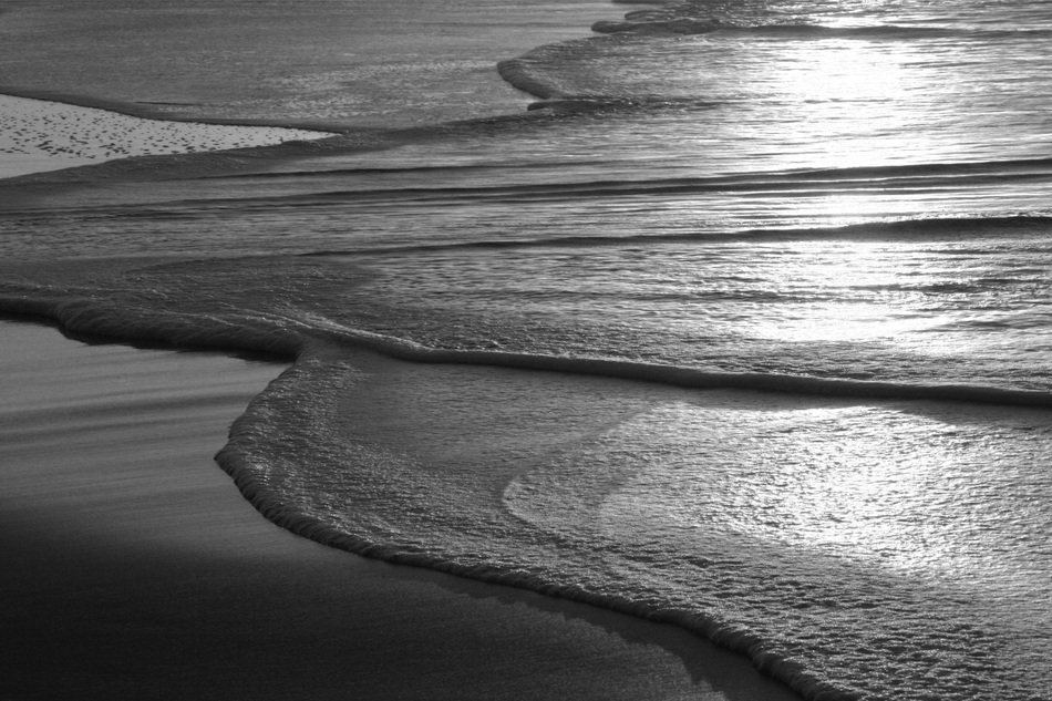 Sticks Beach Natural Barrier