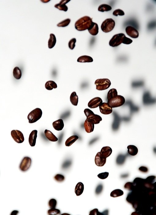 Coffee Beans Coffee Beans Fly