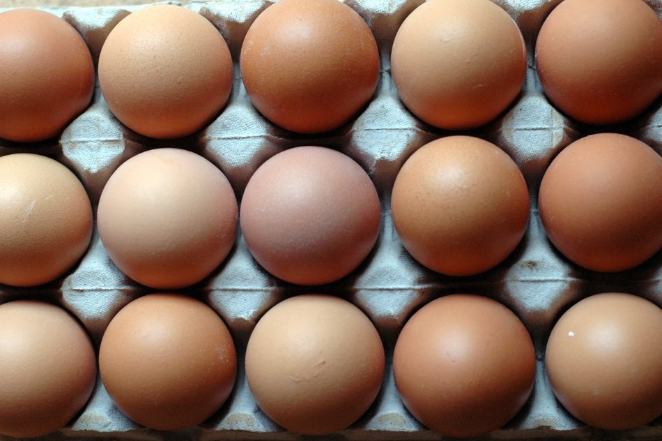 Eggs Rows Patterns Nutrition