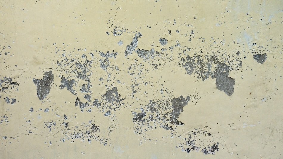 background with aged shabby wall