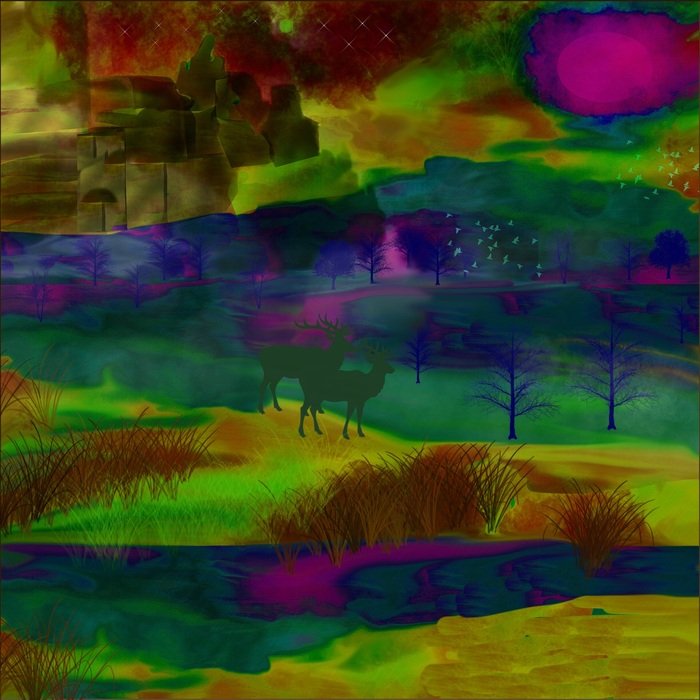 Dream Nature Park Deer Night