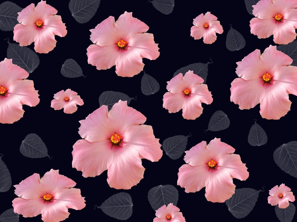 Vintage Flowers Abstract Hibiscus