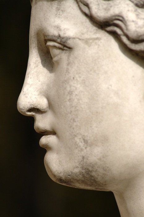 Portrait Statue Art Profile