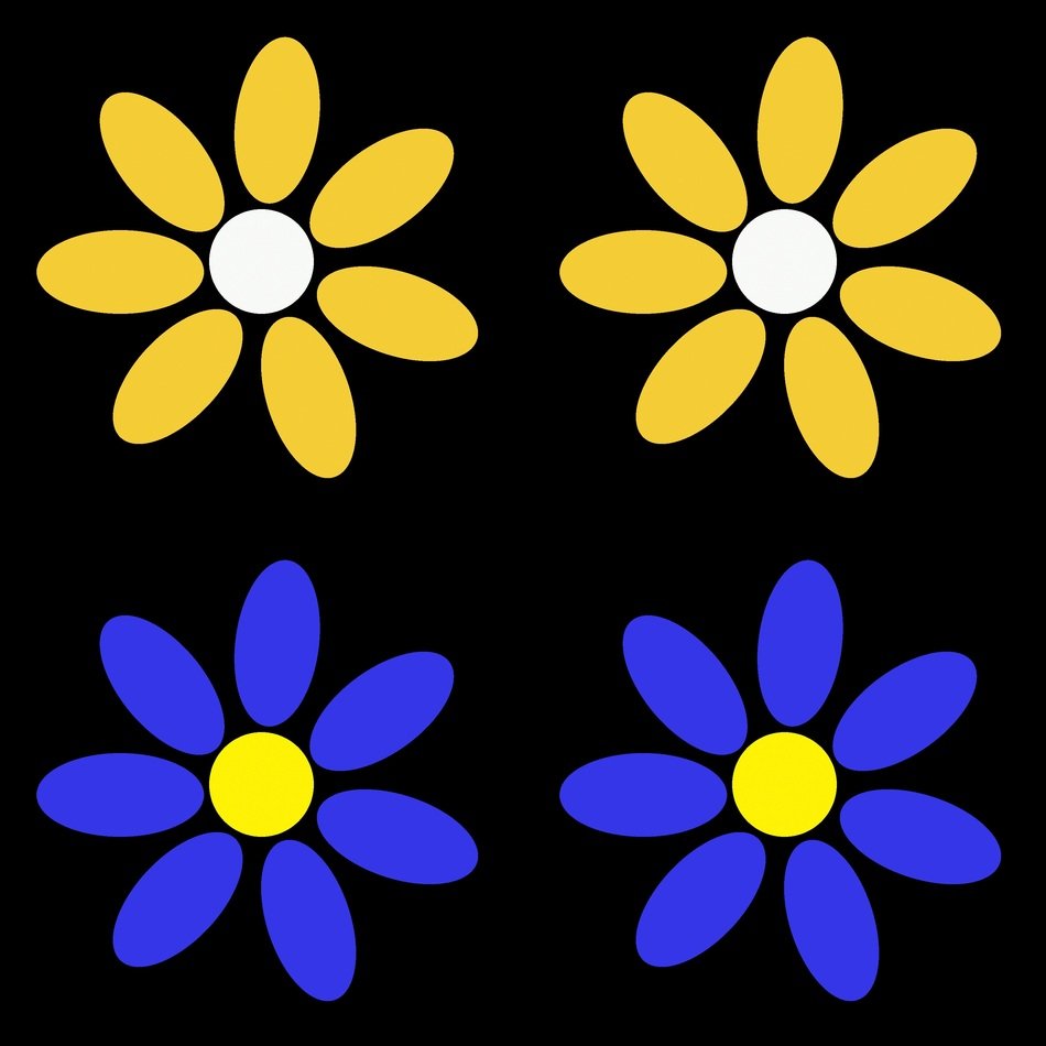 blue and yellow flowers on a black background