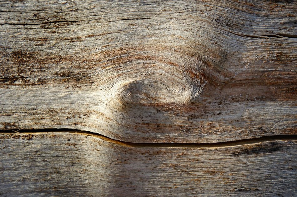 Wood Knot Log Timber Grain
