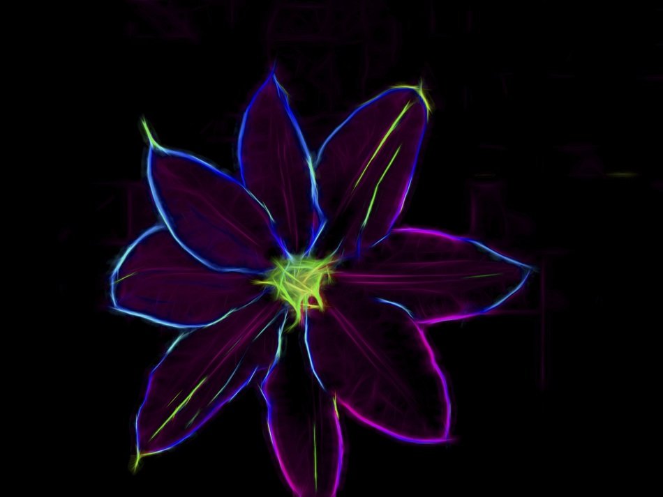 Art Work Art Flower Clematis