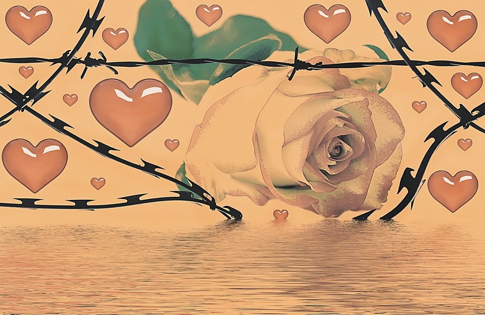 Japanese Style Rose Heart