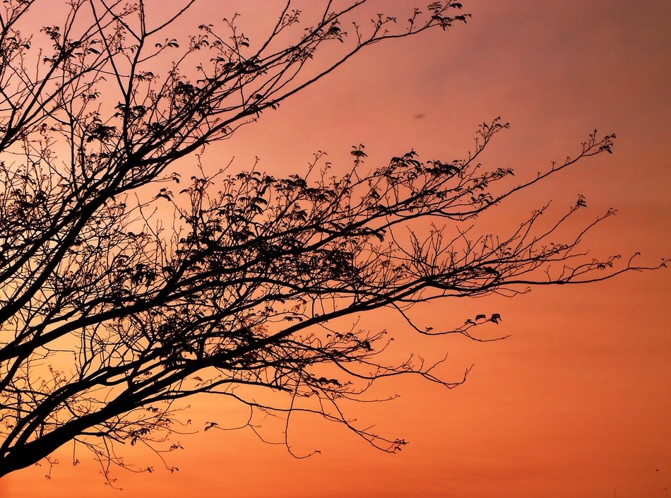 Dawn Tomorrow Sunset Shadows
