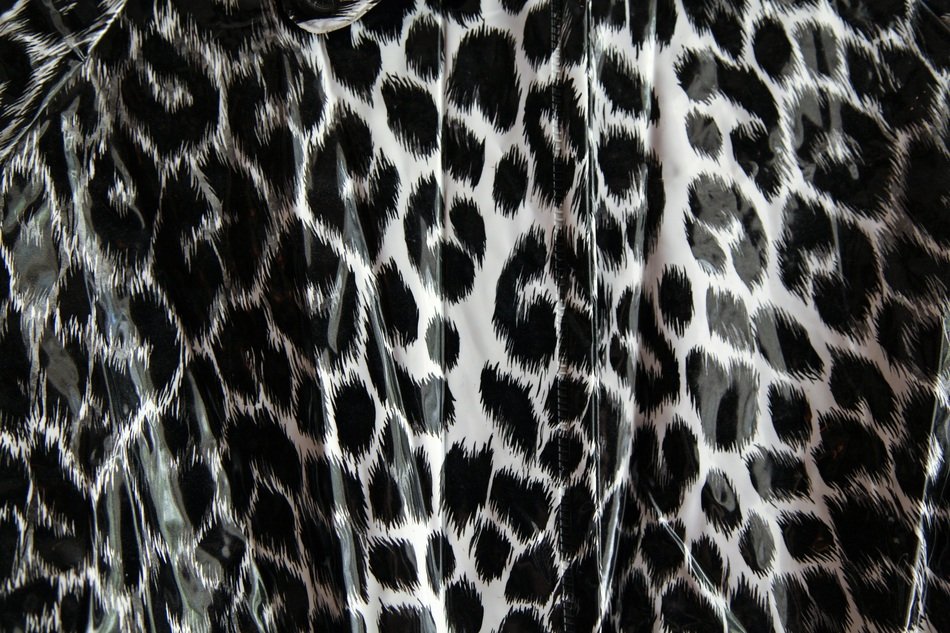 Leopard Pattern Black And White