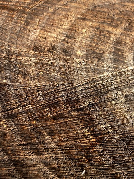 circular wood texture