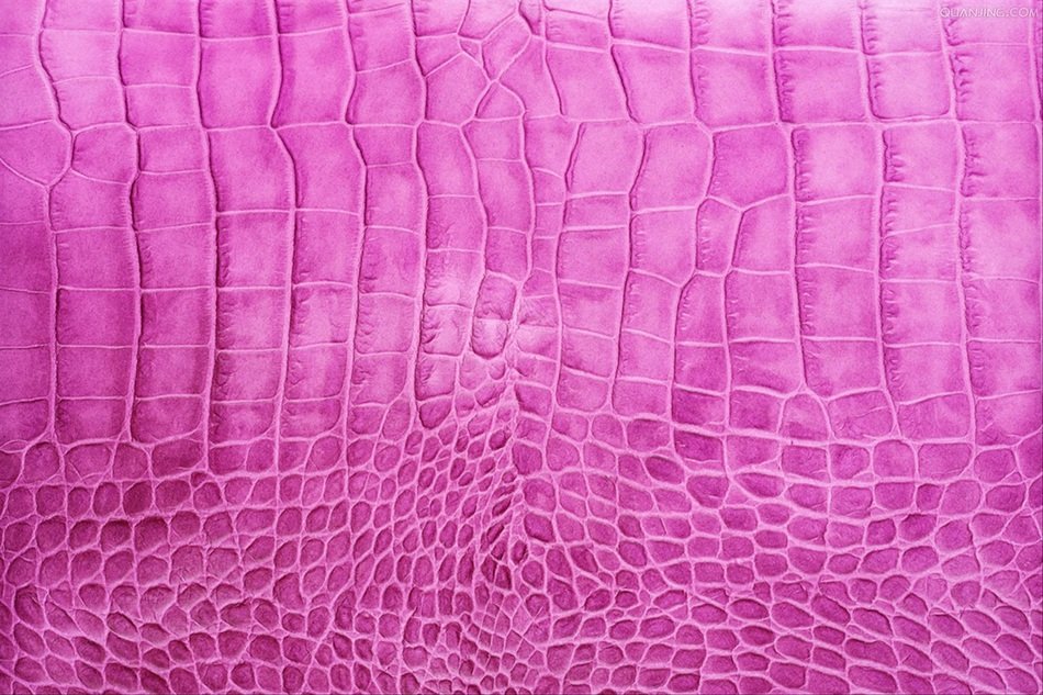 Background Pink Grain Leather