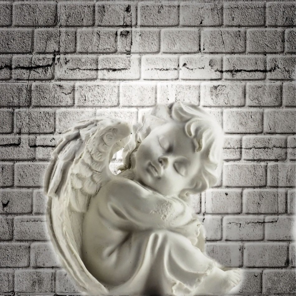 Angel Wall Light Fig