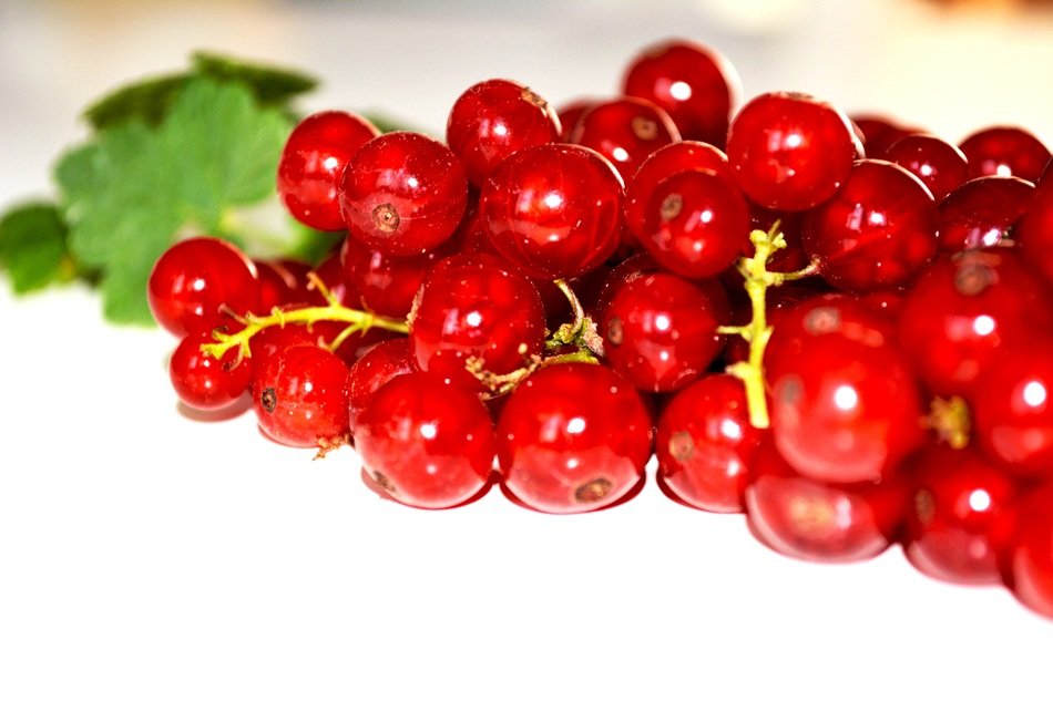 White Fruit Background Isolated