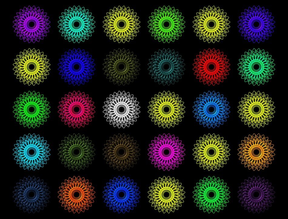 Flowers Arrangement Symmetry