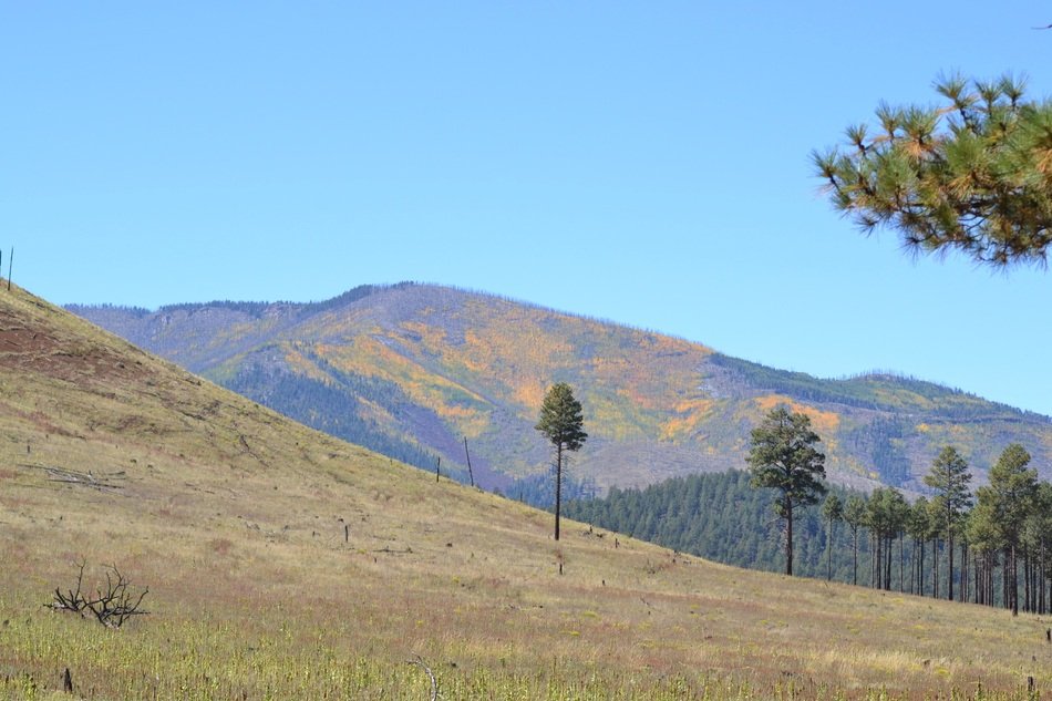 Background Image Fall Mountain