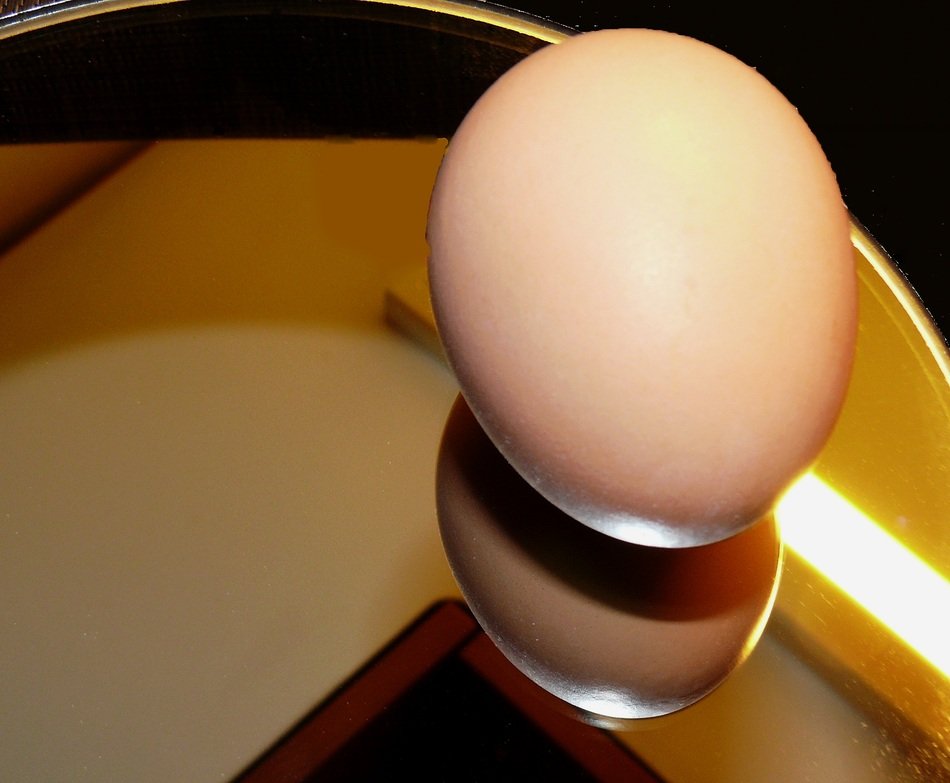 Egg Hen'S Egg Food Nutrition
