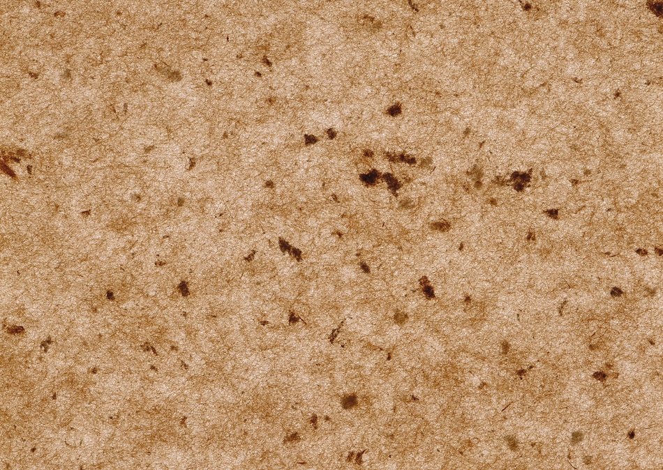 Cork Texture Brown Background