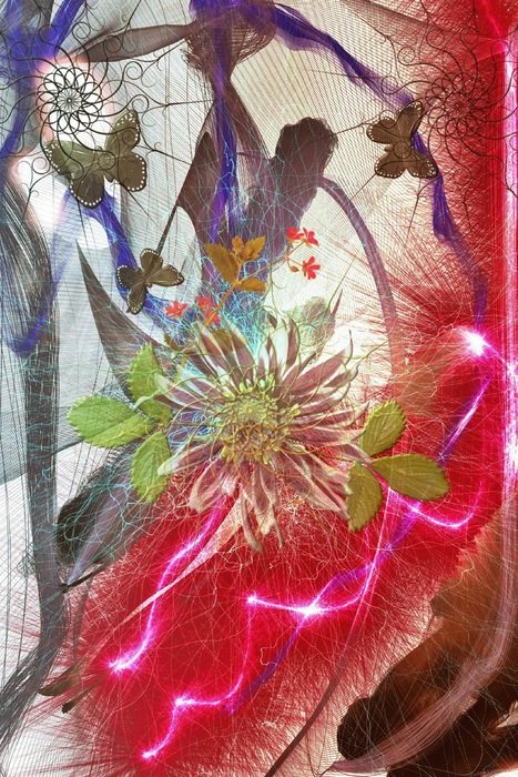 Abstract Pattern Graphic Flowers